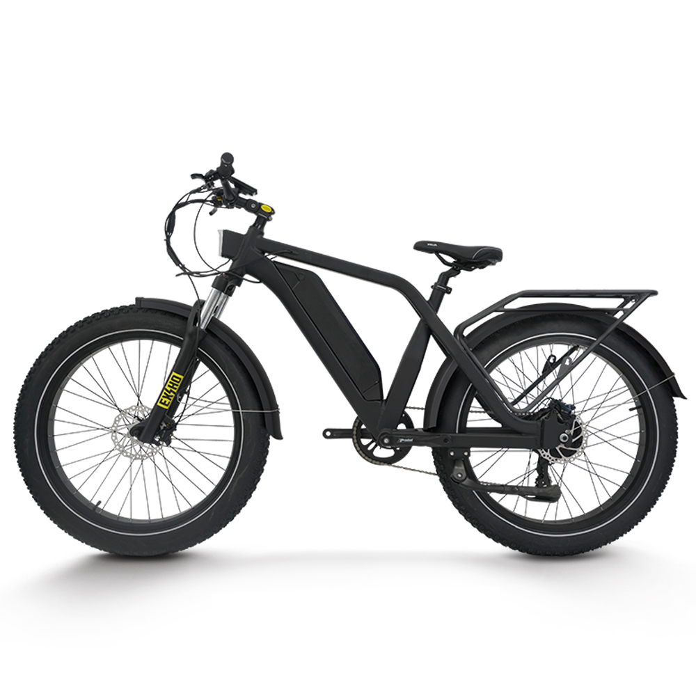 Bicicleta Elétrica para Adulto - 48V 1500W Rear Hub Motor With Battery avaliação e preço