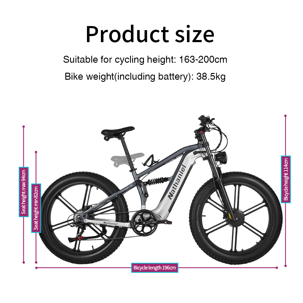 Nathaniel SYR09 Bicicleta Elét - Dual Motor Ebike Kit 2000W avaliação e preço